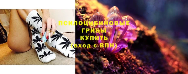 дурь Алексеевка