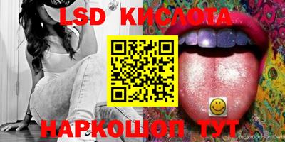 spice Камышлов