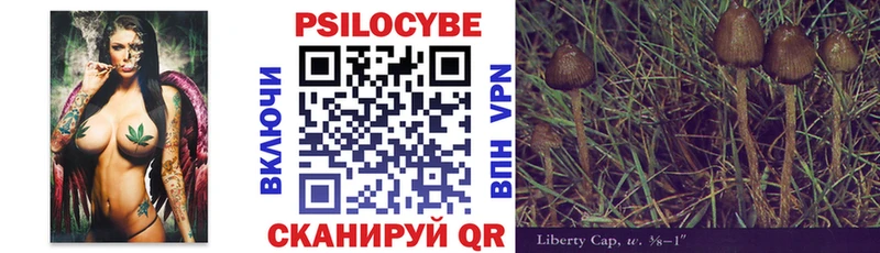 ОМГ ОМГ как войти  Клин  Галлюциногенные грибы Magic Shrooms 